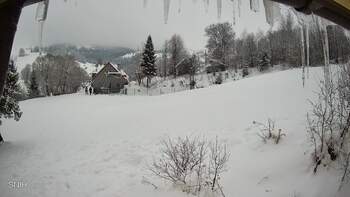 Бескид 24 січня 2026 року, 2026-01-24 10:00