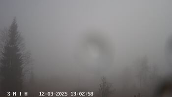 Ясіня 3 грудня 2025 року 13:00