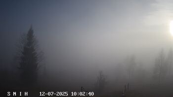 Ясіня 7 грудня 2025 року, 2025-12-07 10:00