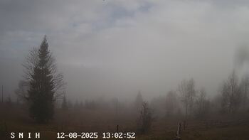 Ясіня 8 грудня 2025 року, 2025-12-08 13:00