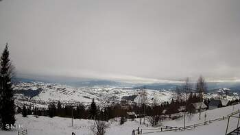 Ясіня 16 січня 2026 року, 2026-01-16 13:00