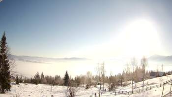 Ясіня 20 січня 2026 року, 2026-01-20 10:00