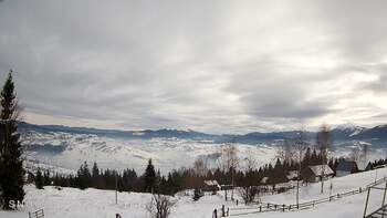 Ясіня 22 січня 2026 року, 2026-01-22 13:00