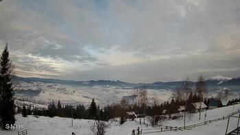 Ясіня 22 січня 2026 року, 2026-01-22 16:00