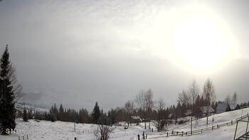 Ясіня 23 січня 2026 року, 2026-01-23 10:00