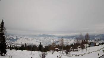 Ясіня 23 січня 2026 року, 2026-01-23 13:00