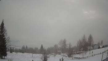 Ясіня 24 січня 2026 року, 2026-01-24 10:00