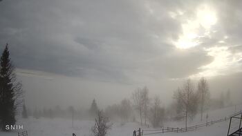 Ясіня 25 січня 2026 року, 2026-01-25 10:00