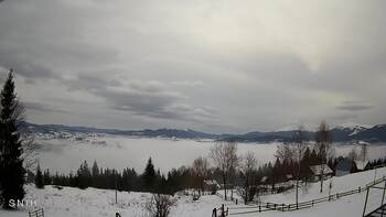 Ясіня 26 січня 2026 року, 2026-01-26 10:00