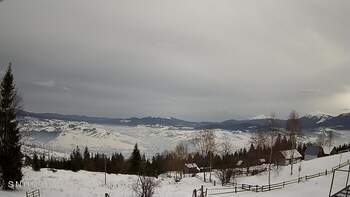 Ясіня 26 січня 2026 року, 2026-01-26 13:00