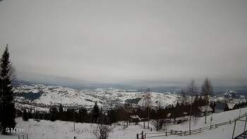 Ясіня 31 січня 2026 року, 2026-01-31 10:00