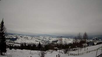 Ясіня 31 січня 2026 року, 2026-01-31 13:00