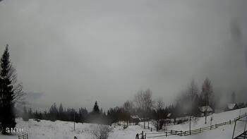 Ясіня 4 лютого 2026 року, 2026-02-04 16:00