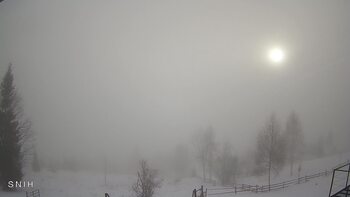 Ясіня 5 лютого 2026 року, 2026-02-05 10:00