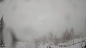 Ясіня 8 лютого 2026 року, 2026-02-08 13:00