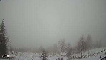 Ясіня 15 лютого 2026 року, 2026-02-15 10:00