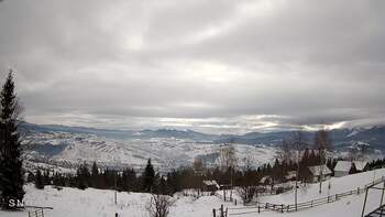 Ясіня 21 лютого 2026 року, 2026-02-21 10:00