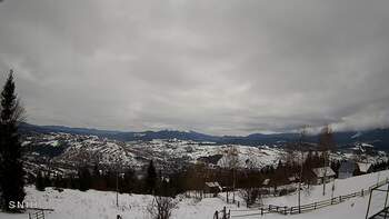 Jasinia 21 luty 2026 rok, 2026-02-21 16:00