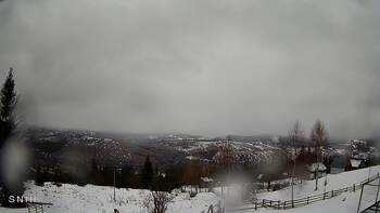 Ясіня 23 лютого 2026 року, 2026-02-23 13:00