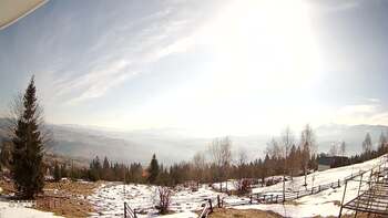 Ясіня 8 березня 2026 року, 2026-03-08 10:00