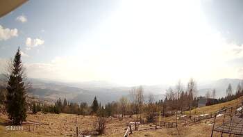 Ясіня 18 березня 2026 року, 2026-03-18 10:00