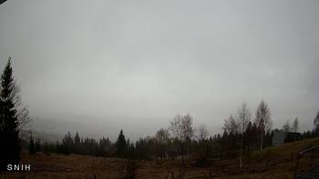 Yasinia 29 march 2026 year, 2026-03-29 16:00