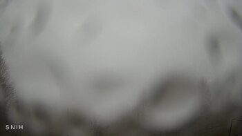 Ясіня 20 квітня 2026 року, 2026-04-20 16:00