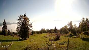 Yasinia 20 september 2026 year, 2026-09-20 10:00