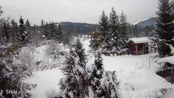 Пилипець 22 січня 2026 року, 2026-01-22 10:00