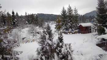 Пилипець 22 січня 2026 року, 2026-01-22 13:00