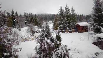 Пилипець 24 січня 2026 року, 2026-01-24 10:00