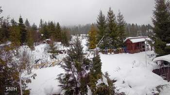 Пилипець 24 січня 2026 року, 2026-01-24 16:00