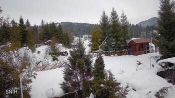 Пилипець 25 січня 2026 року, 2026-01-25 16:00