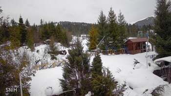 Пилипець 26 січня 2026 року, 2026-01-26 10:00