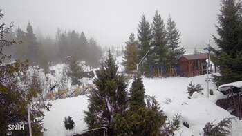 Пилипець 27 січня 2026 року, 2026-01-27 10:00