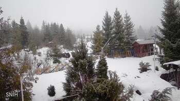 Пилипець 28 січня 2026 року, 2026-01-28 16:00