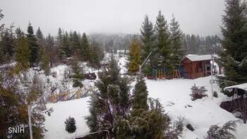 Пилипець 29 січня 2026 року, 2026-01-29 10:00