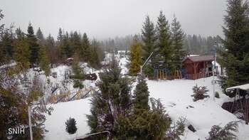 Пилипець 29 січня 2026 року, 2026-01-29 13:00