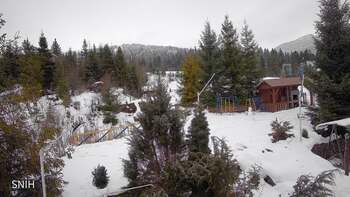 Пилипець 31 січня 2026 року, 2026-01-31 10:00