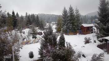 Пилипець 3 лютого 2026 року, 2026-02-03 10:00