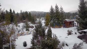 Пилипець 3 лютого 2026 року, 2026-02-03 13:00