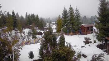 Пилипець 8 лютого 2026 року, 2026-02-08 10:00