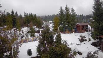 Пилипець 8 лютого 2026 року, 2026-02-08 13:00