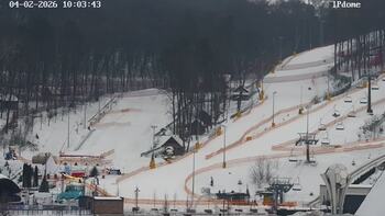 EMILY RESORT 4 luty 2026 rok, 2026-02-04 10:00