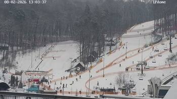 EMILY RESORT 8 luty 2026 rok, 2026-02-08 13:00