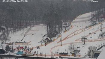 EMILY RESORT 8 luty 2026 rok, 2026-02-08 16:00