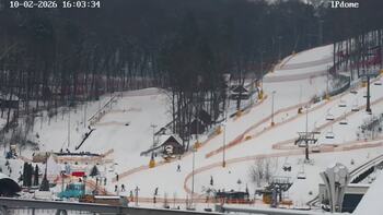 EMILY RESORT 10 february 2026 year, 2026-02-10 16:00