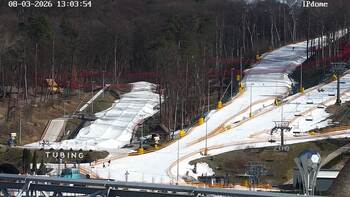 EMILY RESORT 8 березня 2026 року, 2026-03-08 13:00