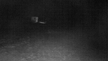 Посадка першого бугеля