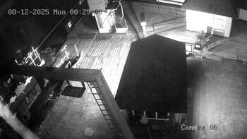 Wyciąg «Mewa karpacka»